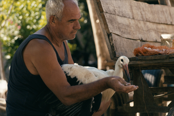 The Tale of Silyan.JPG