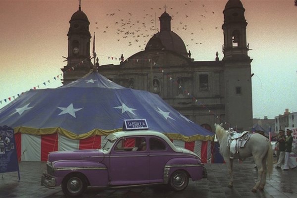 XXX89044-006-GxCoYk-LFfDnM.jpg (1)